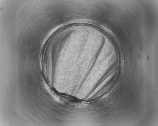 X0000052641272200507221806