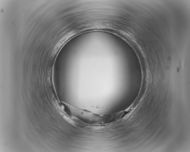 X0000052641273200507221806