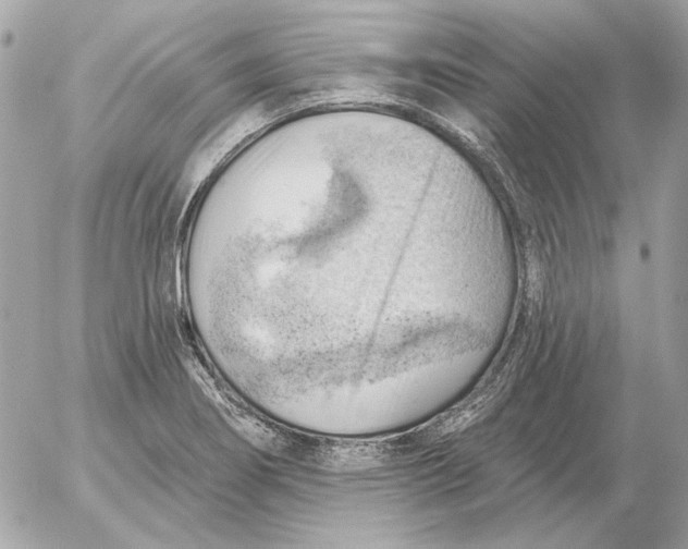 X0000052641274200507221806