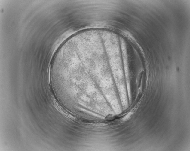 X0000052641276200507221806