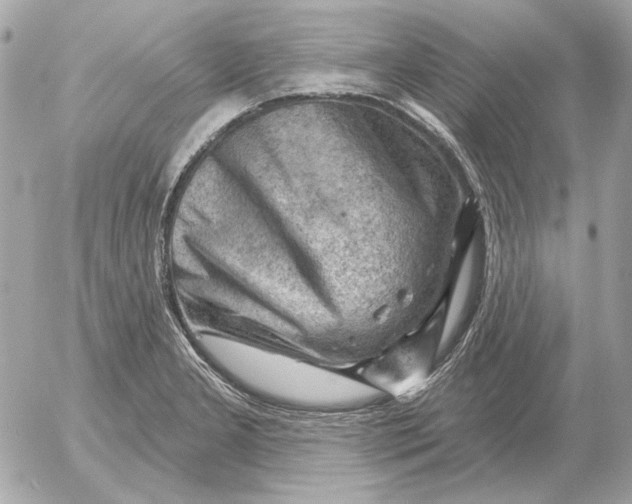 X0000052641277200507221806