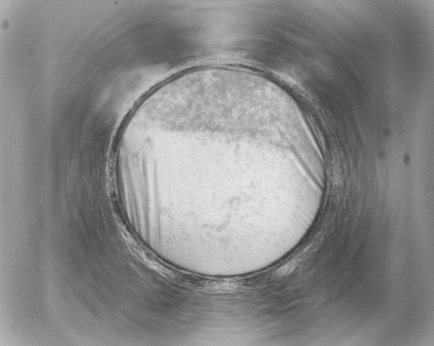 X0000052641278200507221806