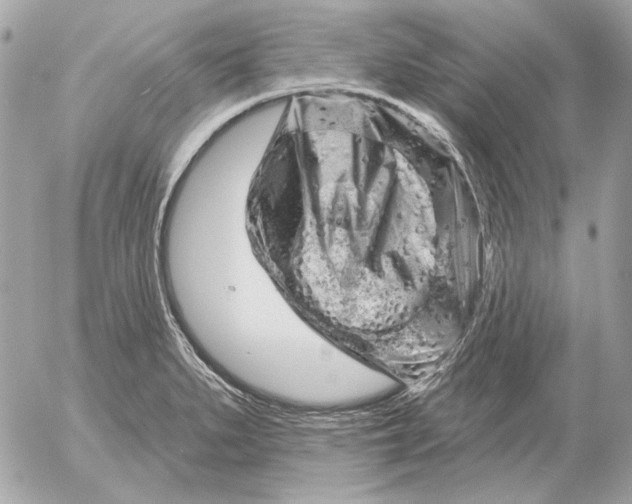 X0000052641279200507221806