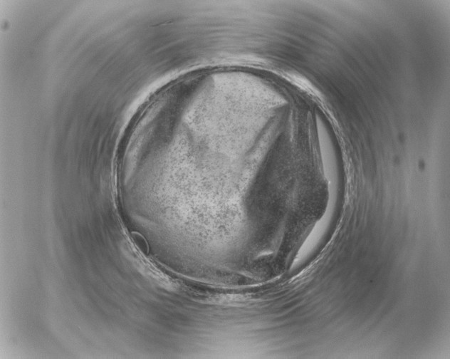 X0000052641280200507221806