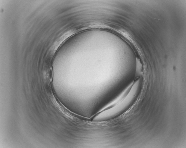 X0000052641281200507221806