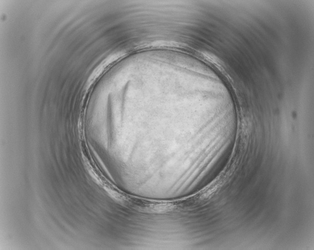 X0000052641282200507221806