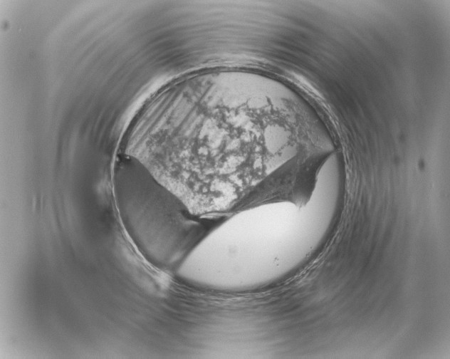 X0000052641283200507221806