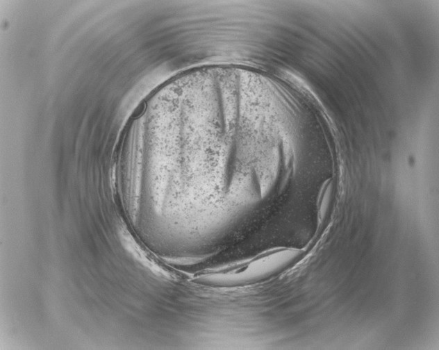 X0000052641284200507221806