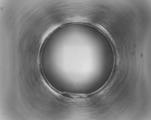 X0000052641285200507221806