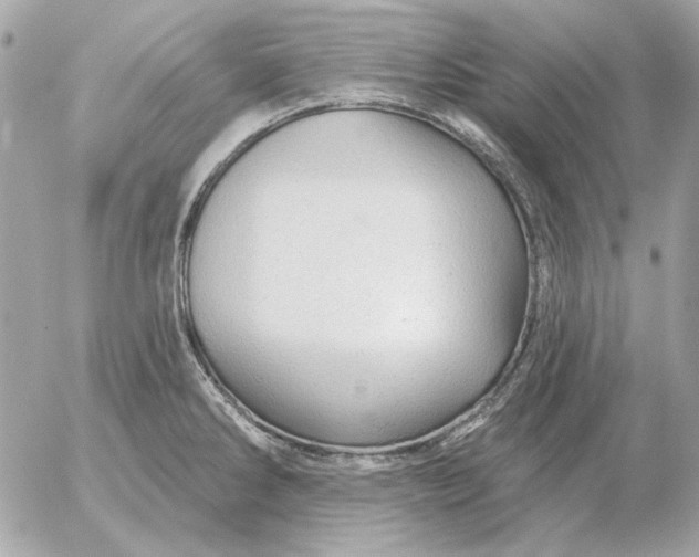 X0000052641286200507221806