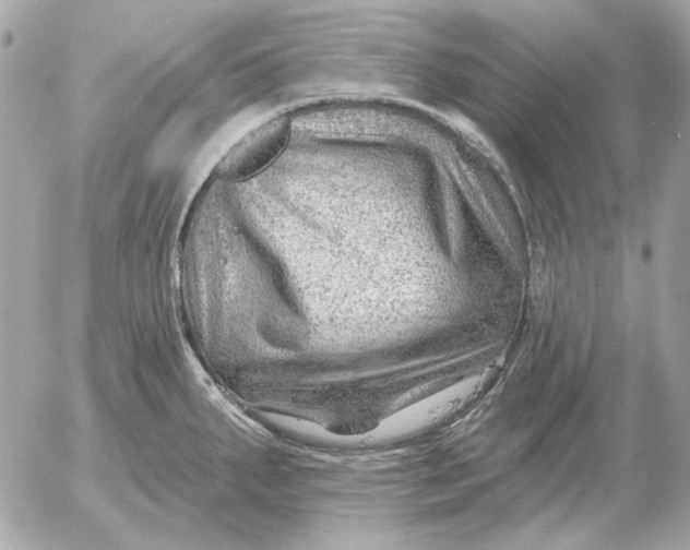 X0000052641287200507221806