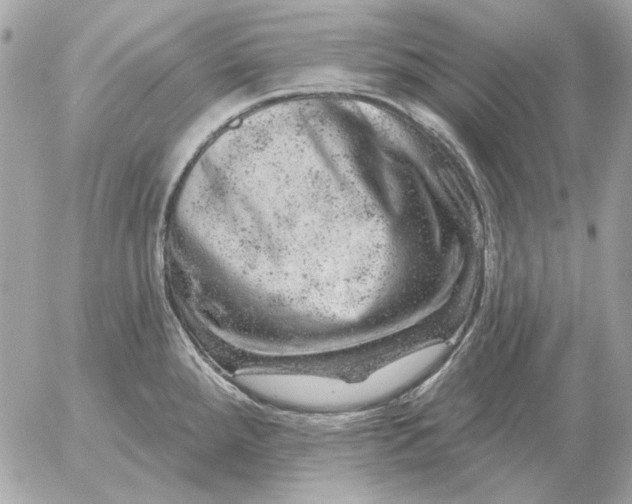 X0000052641288200507221806