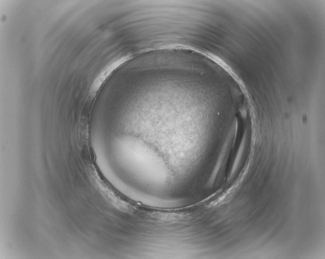 X0000052641289200507221806