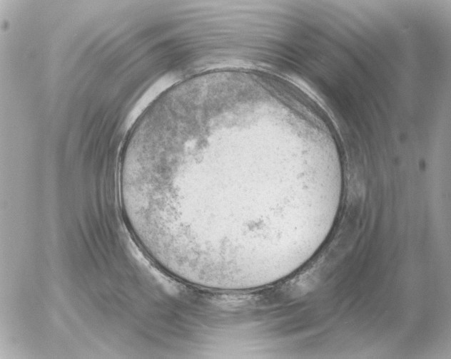 X0000052641290200507221806