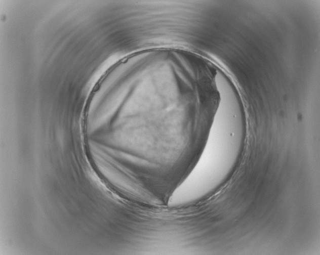 X0000052641291200507221806