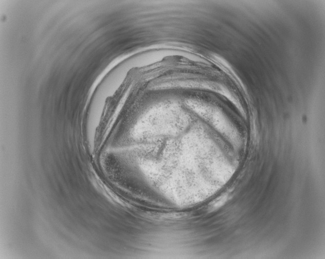 X0000052641292200507221806