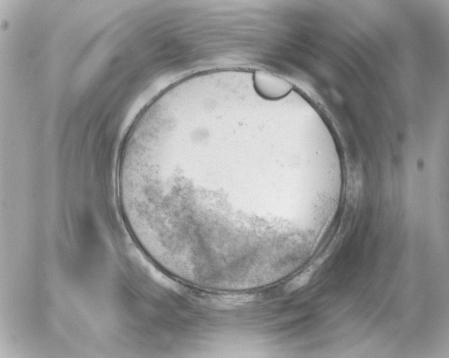 X0000052641294200507221806