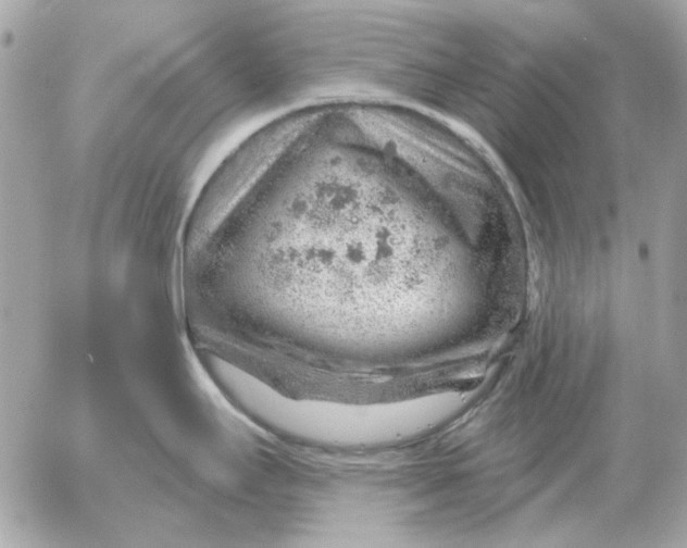 X0000052641295200507221806