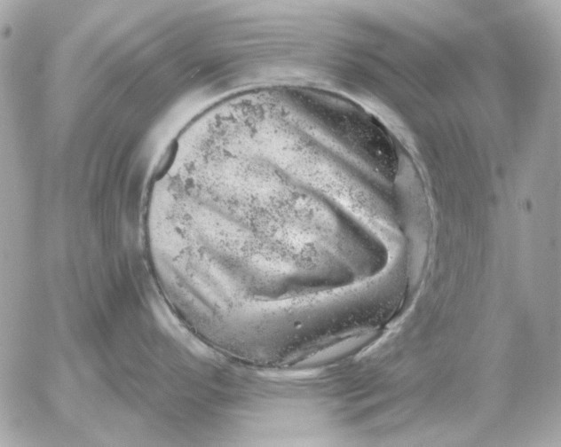 X0000052641296200507221806