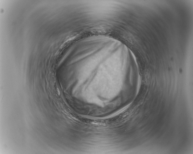 X0000052641297200507221805