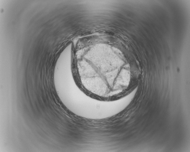 X0000052641298200507221805