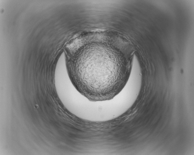 X0000052641299200507221805