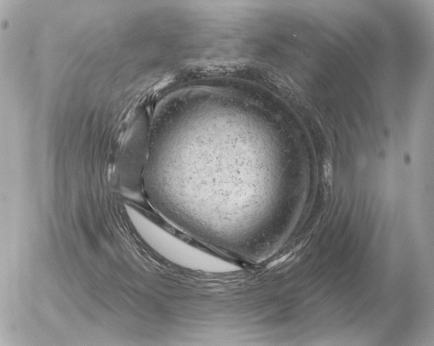 X0000052641300200507221805