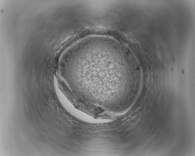 X0000052641301200507221805