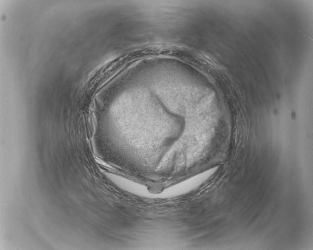 X0000052641302200507221805