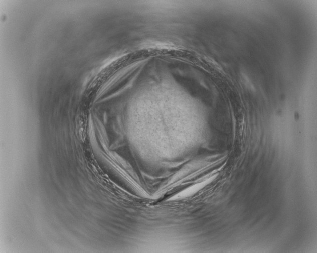 X0000052641303200507221805