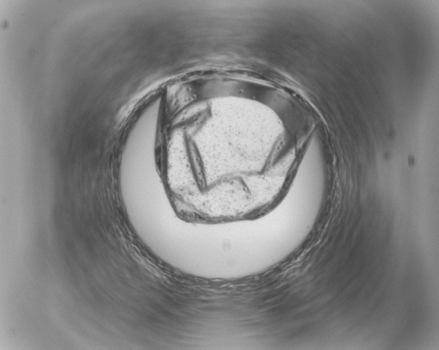 X0000052641304200507221805