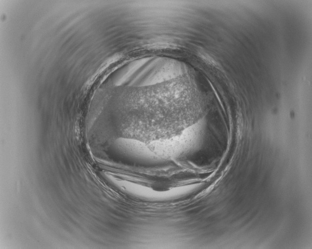 X0000052641305200507221805