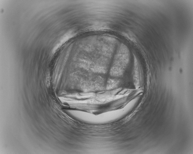 X0000052641306200507221805