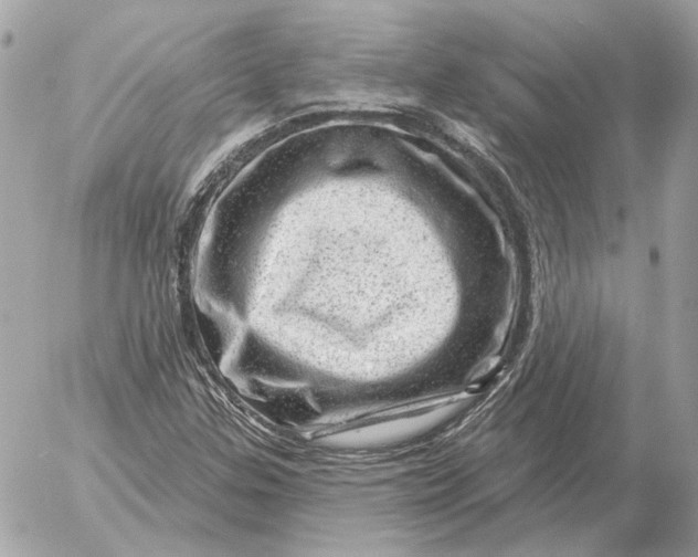 X0000052641307200507221805