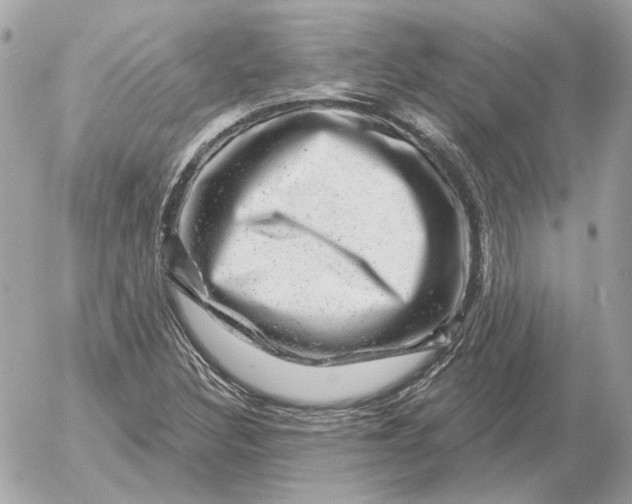 X0000052641308200507221805