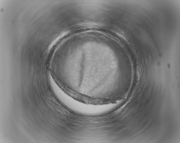 X0000052641309200507221805