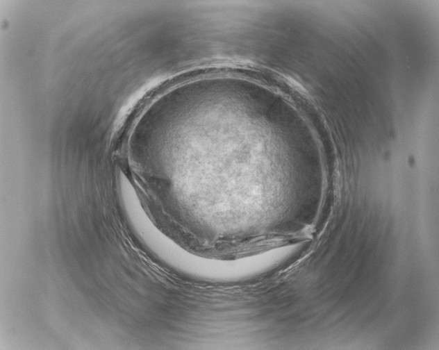 X0000052641310200507221805