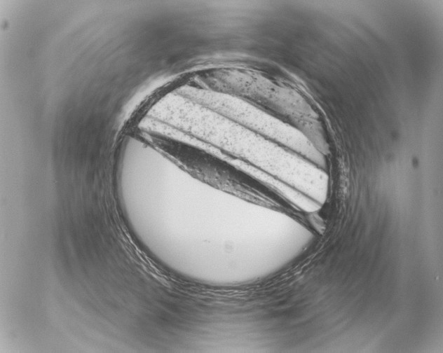 X0000052641312200507221805