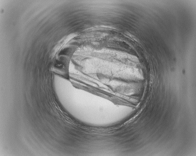 X0000052641313200507221805