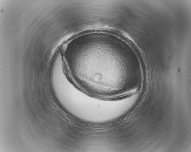 X0000052641315200507221805