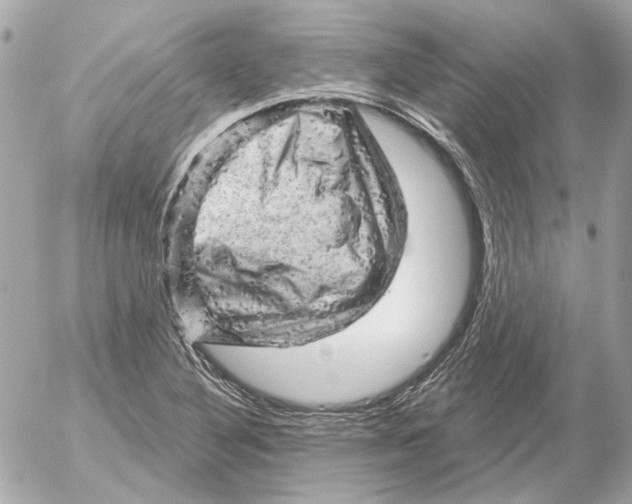 X0000052641316200507221805