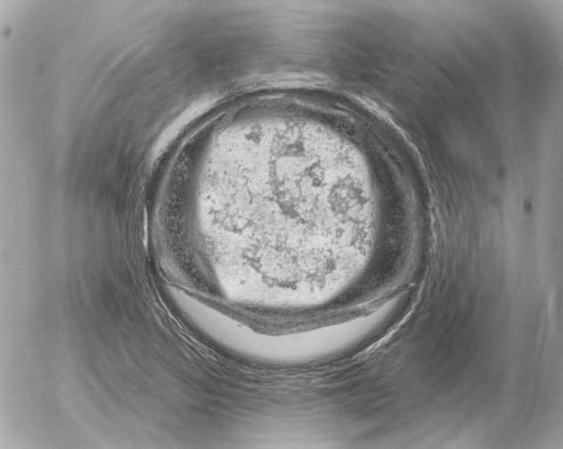 X0000052641317200507221805