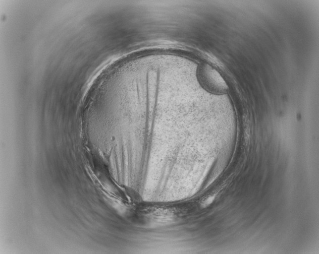 X0000052641318200507221805