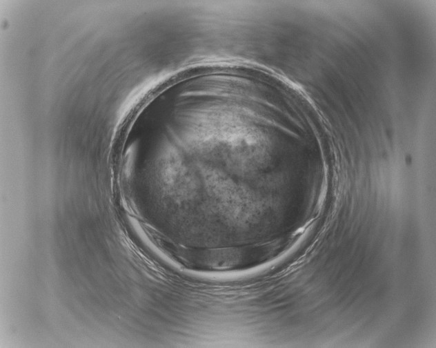 X0000052641319200507221805