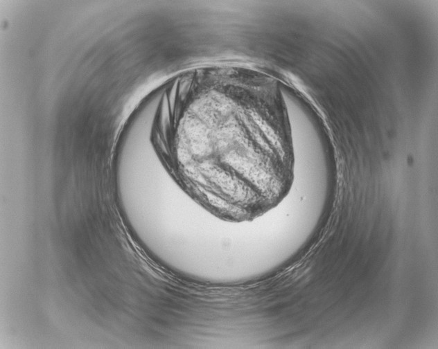 X0000052641320200507221805