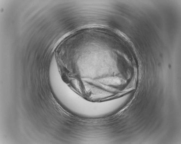 X0000052641321200507221805