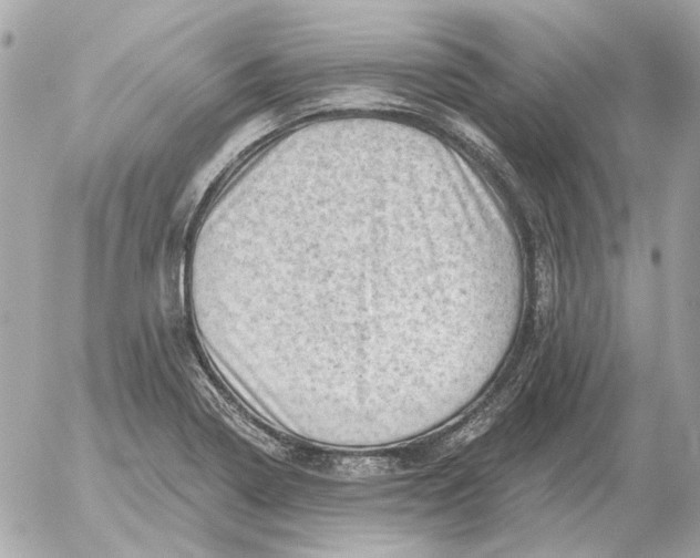 X0000052641322200507221805