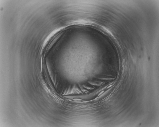 X0000052641323200507221805