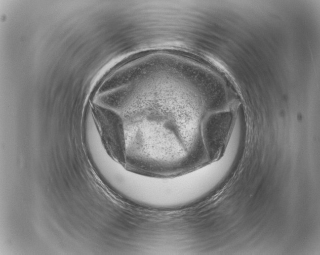 X0000052641324200507221805