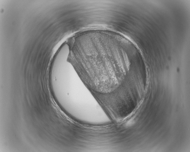 X0000052641325200507221805